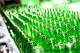 Munich Brewers Want Empty Bottles Back!  